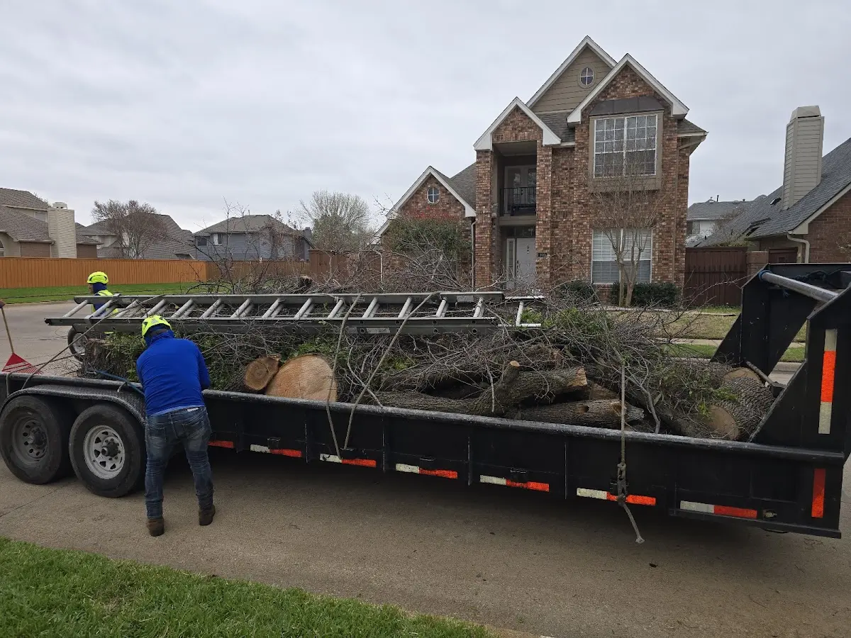Expert Lot Clearing with proper safety equipment in Ravenna
